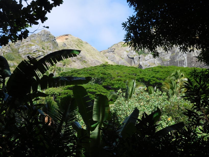 <strong>PITCAIRN VIEWS</strong>