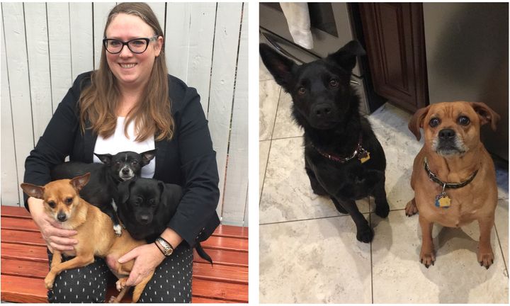 (Left) Sgt Jessica McRorie poses with her three Chihuahuas, Sophie, David and Little Edie. (Right) Det Tara Cuccias' dogs Zoey Shar-Pei Shepherd mix and Zeke Puggle mix smile for the camera.