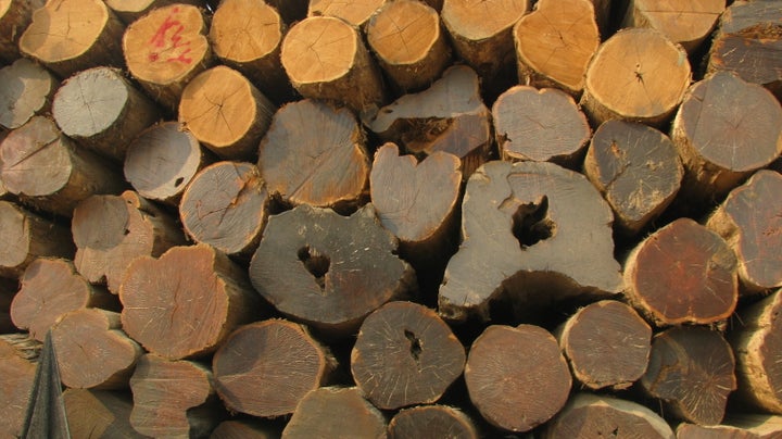 Local communities in countries like Myanmar typically see few benefits from sales of timber and other natural resources