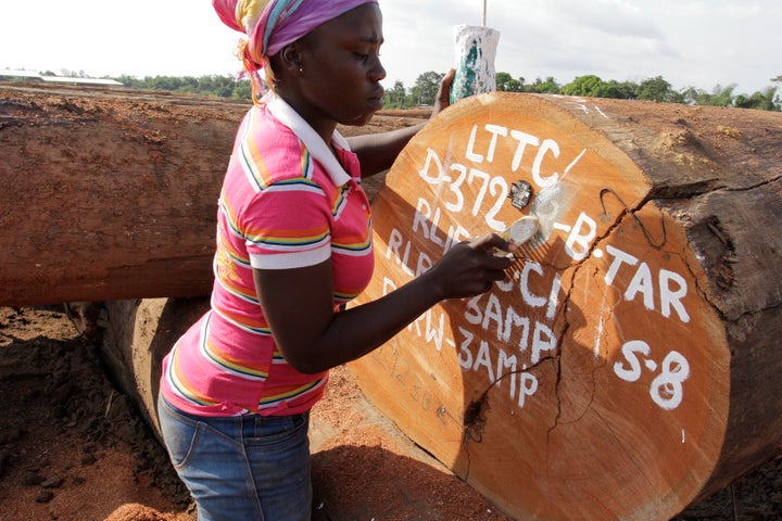 A chain-of-custody tracking system has proven to be a key reform in Liberia’s forest sector (Photo by Flore de Preneuf/PROFOR - CC BY-NC 2.0)