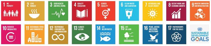 United Nations Sustainable Development Goals