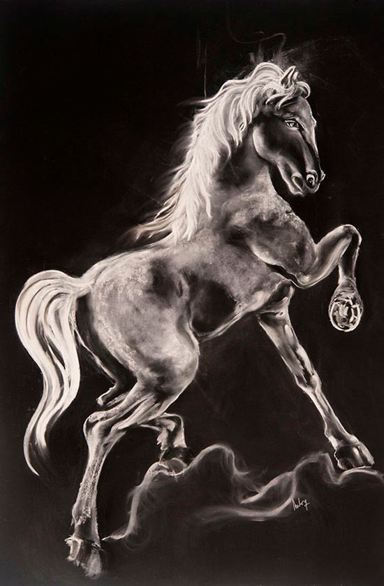  Aida Novosel Savic, White horse, 42x63 inches, 2017, Chalk, charcoal