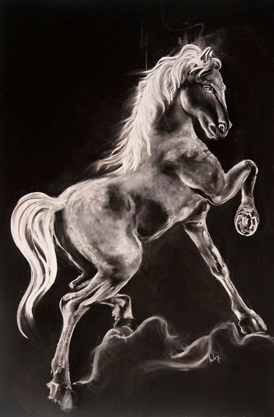 Aida Novosel Savic, White horse, 42x63 inches, 2017, Chalk, charcoal