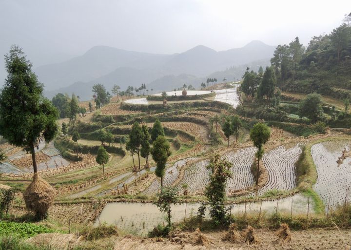 Terraced fields of Ming’ao.