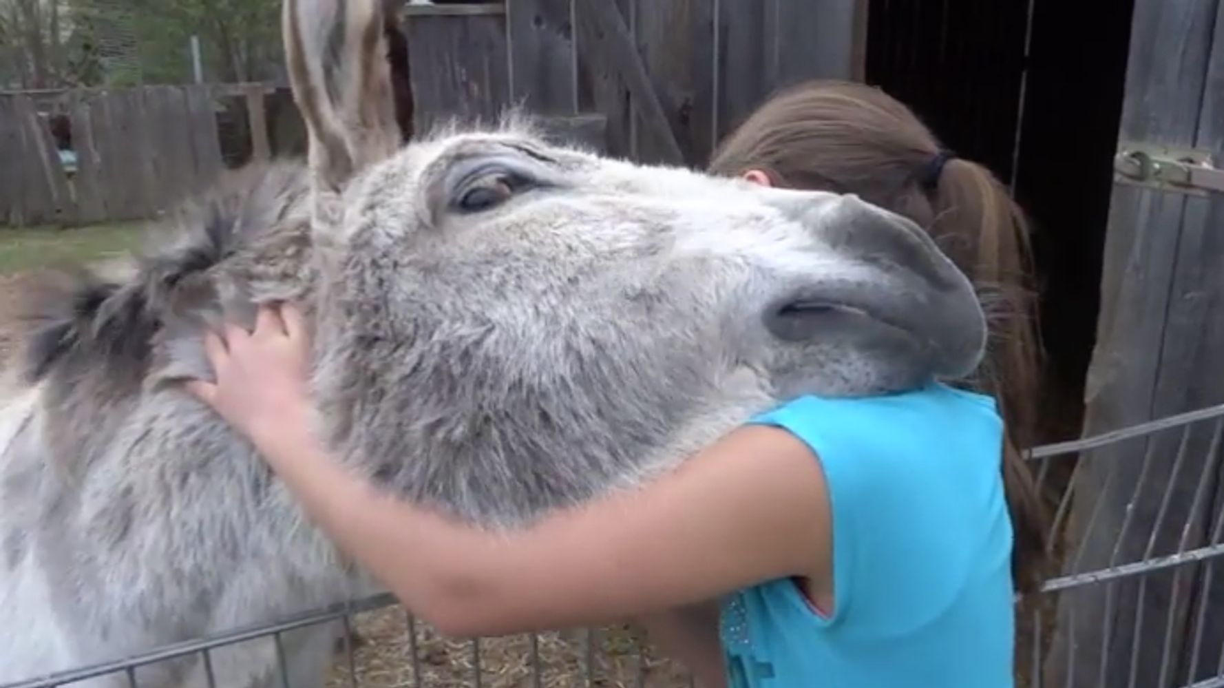 Girl And Her Best Friend Prove Friendship Comes In All Shapes And Sizes |  HuffPost UK Parents