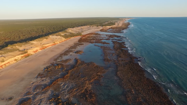 Paleontologists from the University of Queensland have been studying dinosaur footprints along this coast in Western Australia.