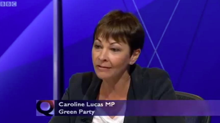 The Greens' only MP, Caroline Lucas