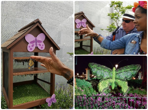 A. Comeaux and Horticulture Area Manager Eric Darden visit the butterflies.