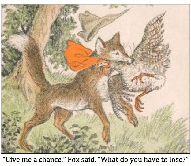 Fox Denies Guarding Henhouse Poses Conflict Of Interest Huffpost