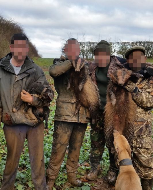 Men pose with dead badgers after setting dogs on them.