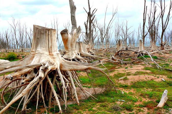  Villa Epecuen, Argentina 