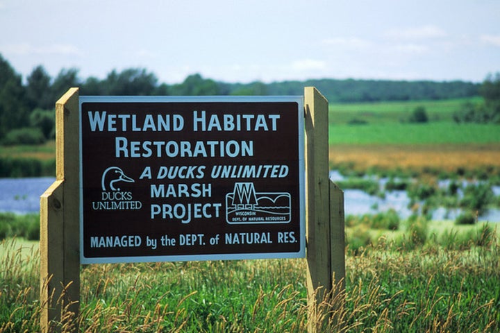 Wetland restoration project sponsored by the hunting and conservation organization Ducks Unlimited, Barron County, Wisconsin. Wisconsin DNR/Flickr, CC BY-ND 