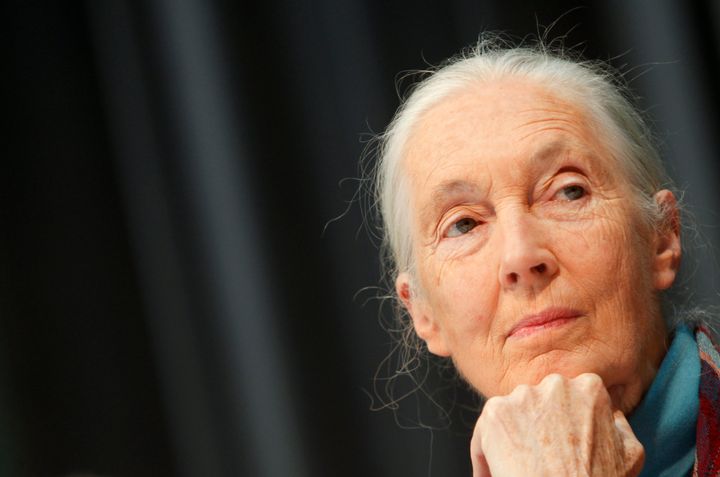 “People who were apathetic before, who didn’t seem to care, now suddenly it’s like they’ve heard a trumpet call — ‘What can we do? We have to do something,’" Jane Goodall finds.