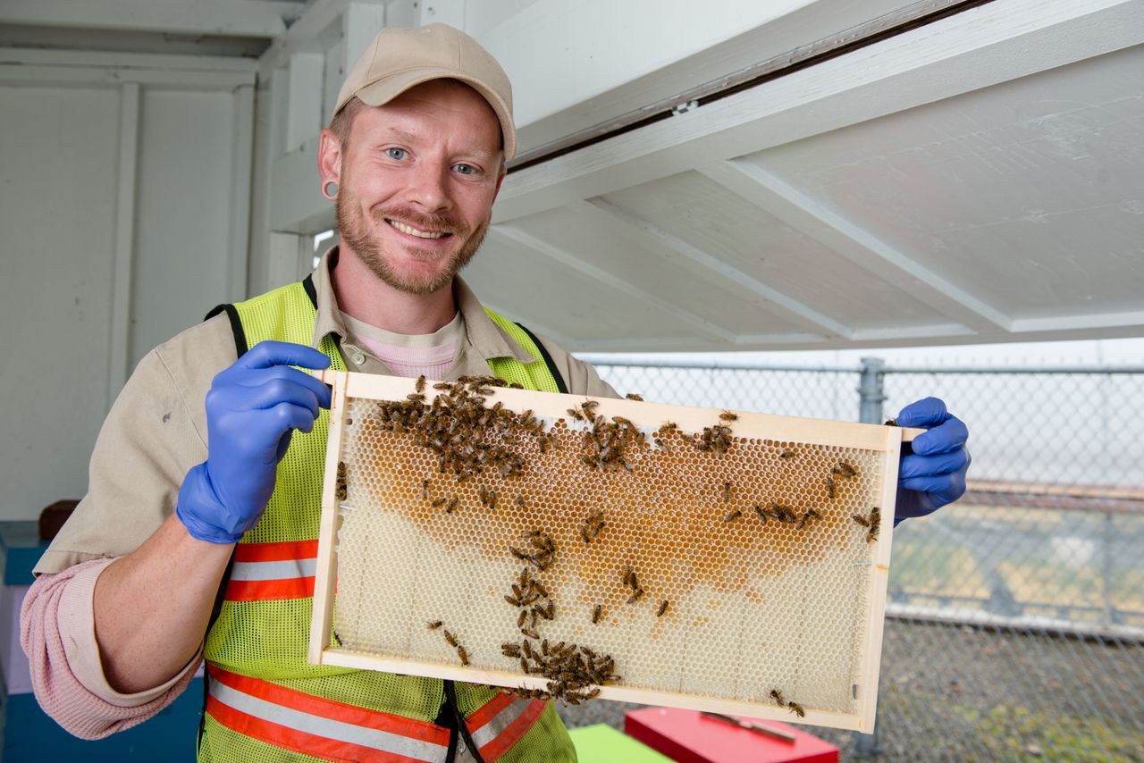 An incarcerated beekeeper at Stafford Creek Corrections Center in Aberdeen, Washington, checks honeybee frames.