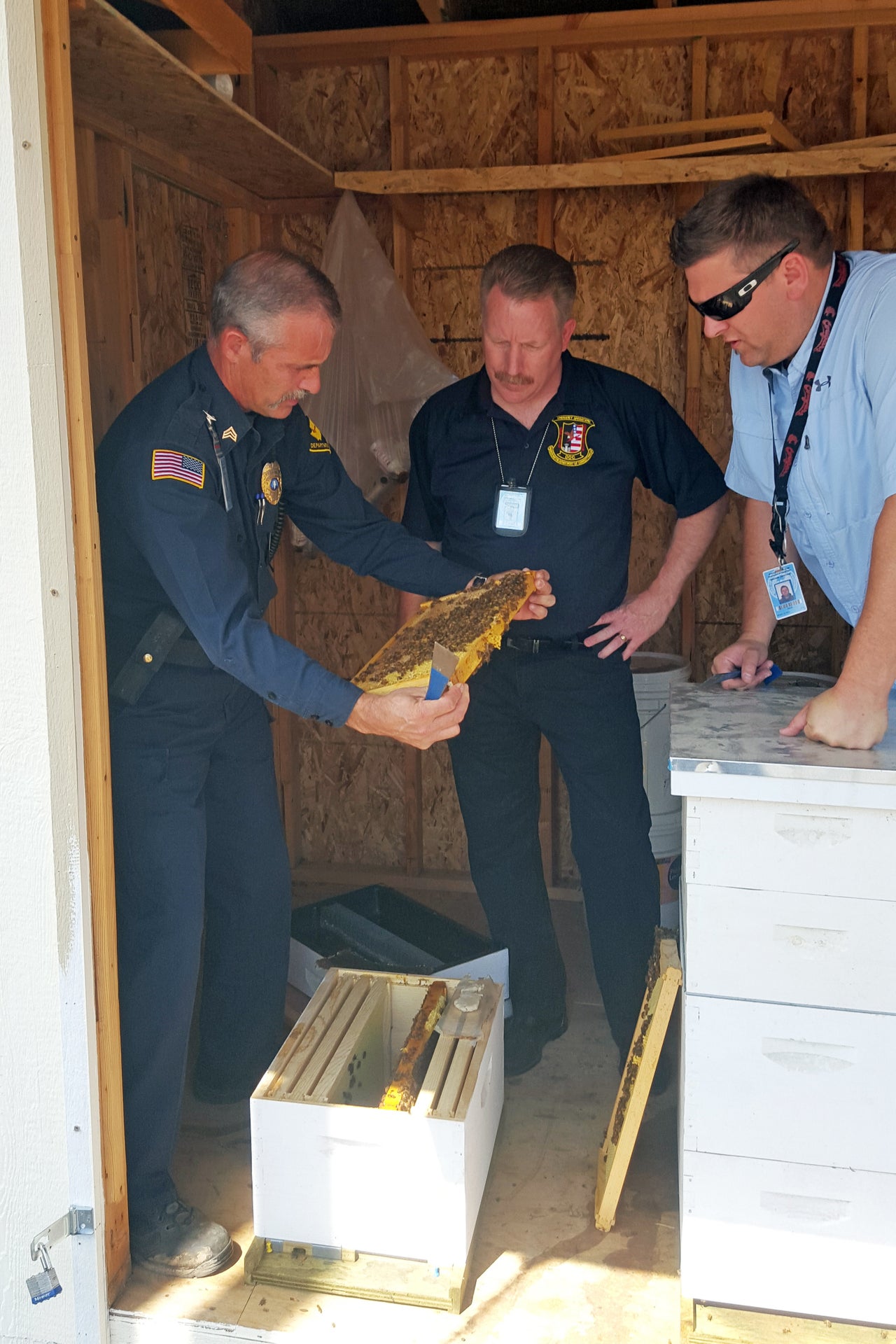 Assistant Secretary for Washington Corrections and co-director for SPP Steve Sinclair, center, checks on the bees at Washington State Penitentiary. 