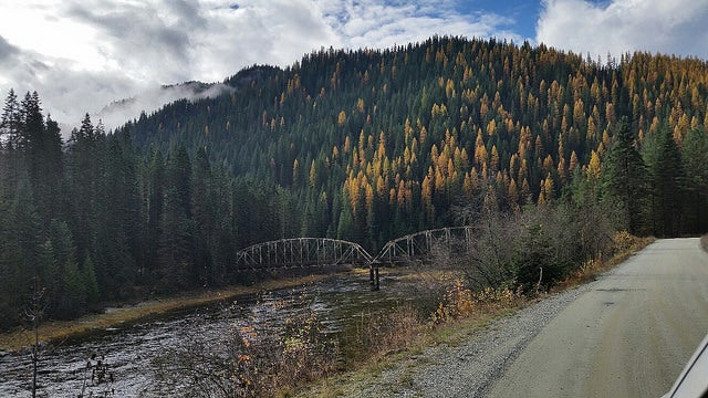 <p>Clearwater River in Orofino </p>