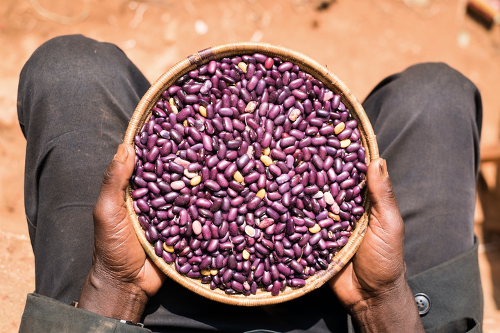 Smallholder farmer Michel Ntungwanimana holds a bowl of beans he harvested in Burundi.