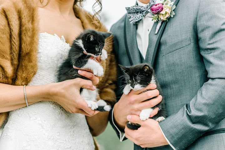 Meet Jeeves and Houdini! (Wedding planned by Entwined Planning)