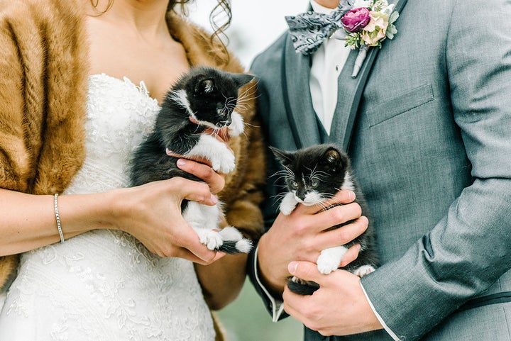 Meet Jeeves and Houdini! (Wedding planned by <a href="https://www.entwinedplanning.com/" target="_blank" data-saferedirecturl="https://www.google.com/url?hl=en&q=https://www.entwinedplanning.com/&source=gmail&ust=1490982229617000&usg=AFQjCNEZLGgAlBnwpntXvuGY346n9YsmTQ" role="link" class=" js-entry-link cet-external-link" data-vars-item-name="Entwined Planning" data-vars-item-type="text" data-vars-unit-name="58dd40cbe4b05eae031df948" data-vars-unit-type="buzz_body" data-vars-target-content-id="https://www.entwinedplanning.com/" data-vars-target-content-type="url" data-vars-type="web_external_link" data-vars-subunit-name="article_body" data-vars-subunit-type="component" data-vars-position-in-subunit="5">Entwined Planning</a>)