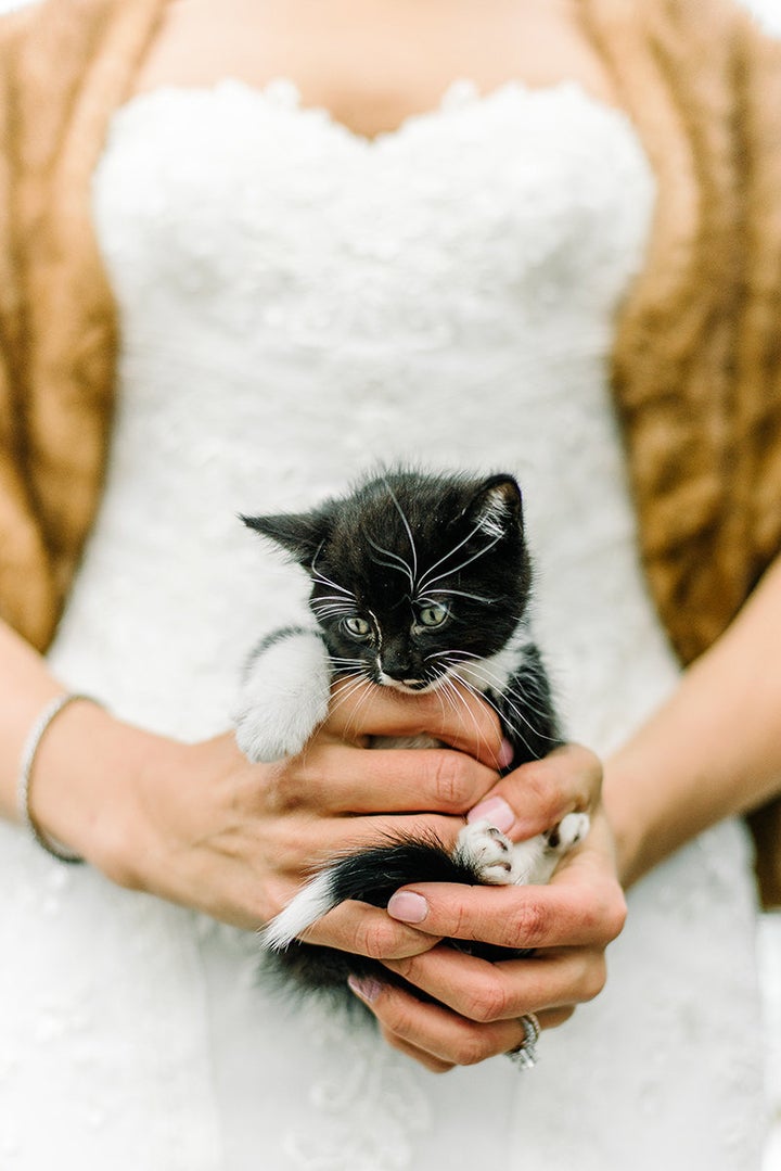 Itty bitty kitty!