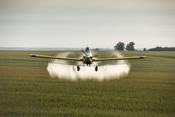 A pilot sprays crops near Whittemore, Iowa. 