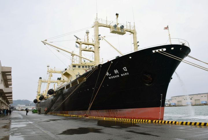 Japanese whaling vessel the Nisshin Maru returns to the Shimonoseki port in southwestern Japan in this photo taken by Kyodo on March 31