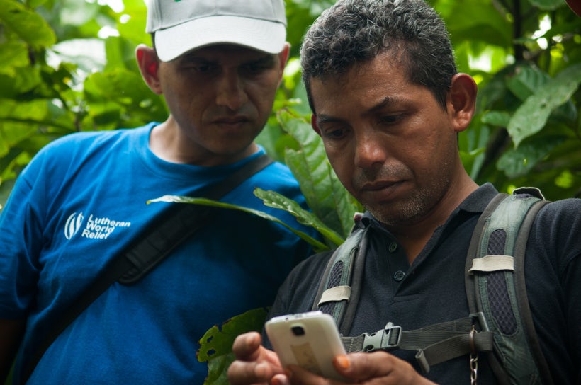 In Nicaragua, cocoa producers use smart phones to take photographs and send and receive messages pertaining to their crops