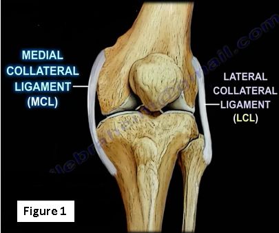 Medial Collateral Ligament Injuries | HuffPost Contributor