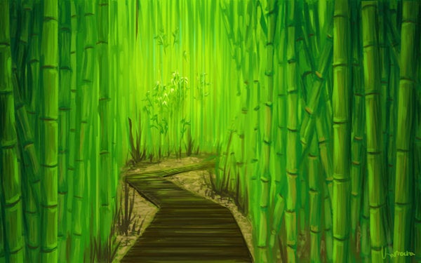 <strong><em>A path to save the planet from deforestation and degradation of the environment</em></strong>