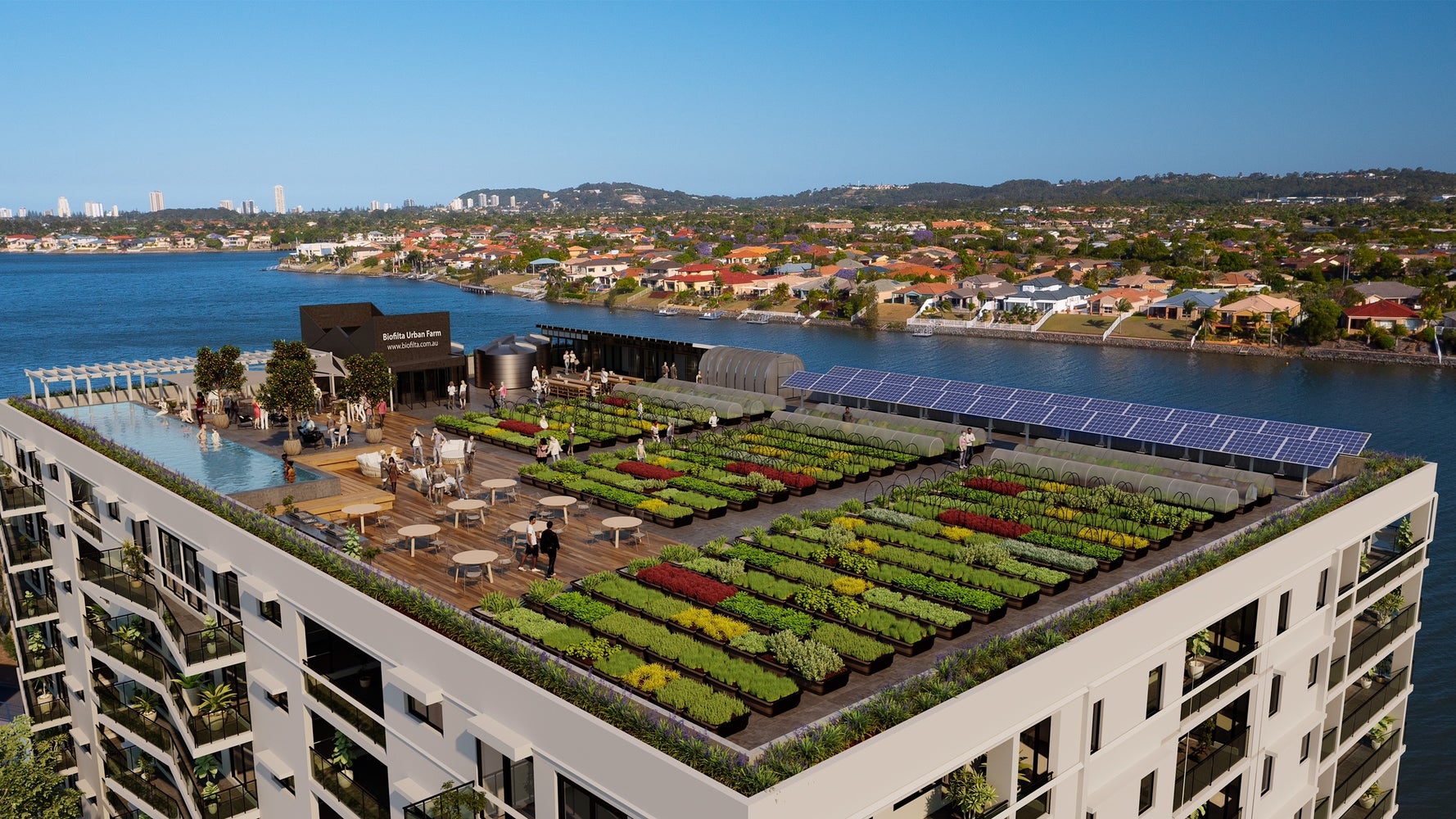 Urban Rooftop Farm Powered by Rainwater and Composted Food Waste HuffPost