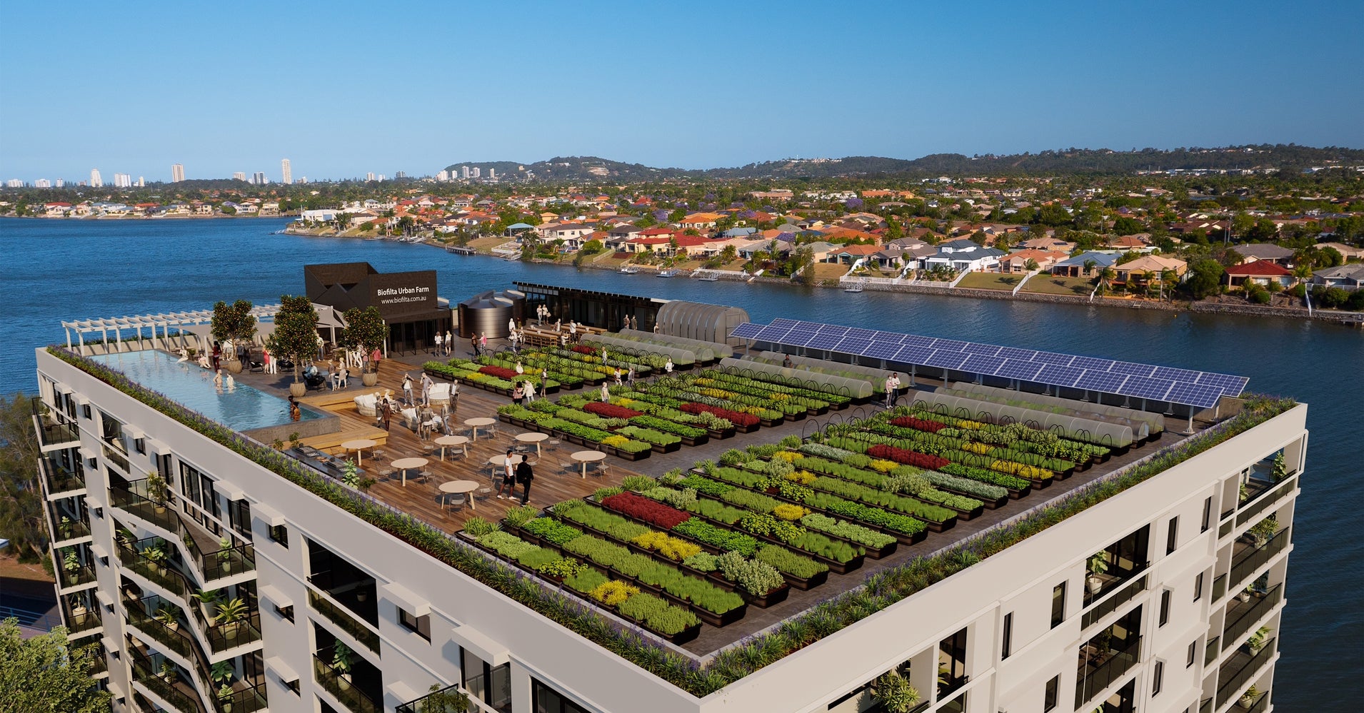 Urban Rooftop Farm Powered by Rainwater and Composted Food Waste | HuffPost