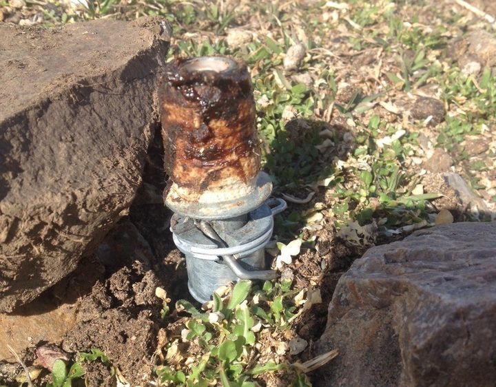 The M-44 cyanide bomb that killed Casey, in a photo from the Bannock County Sheriff's Office