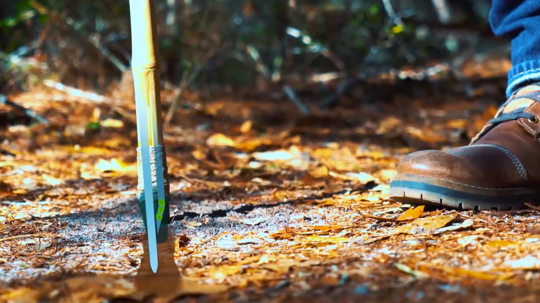 This Walking Stick Plants A Tree Every Time You Use It HuffPost
