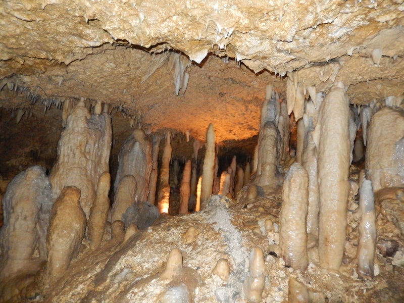 <em>20,000 year old stalagmites in</em><a rel="nofollow" href="http://www.harrisonscave.com/" target="_blank"> Harrison Caves