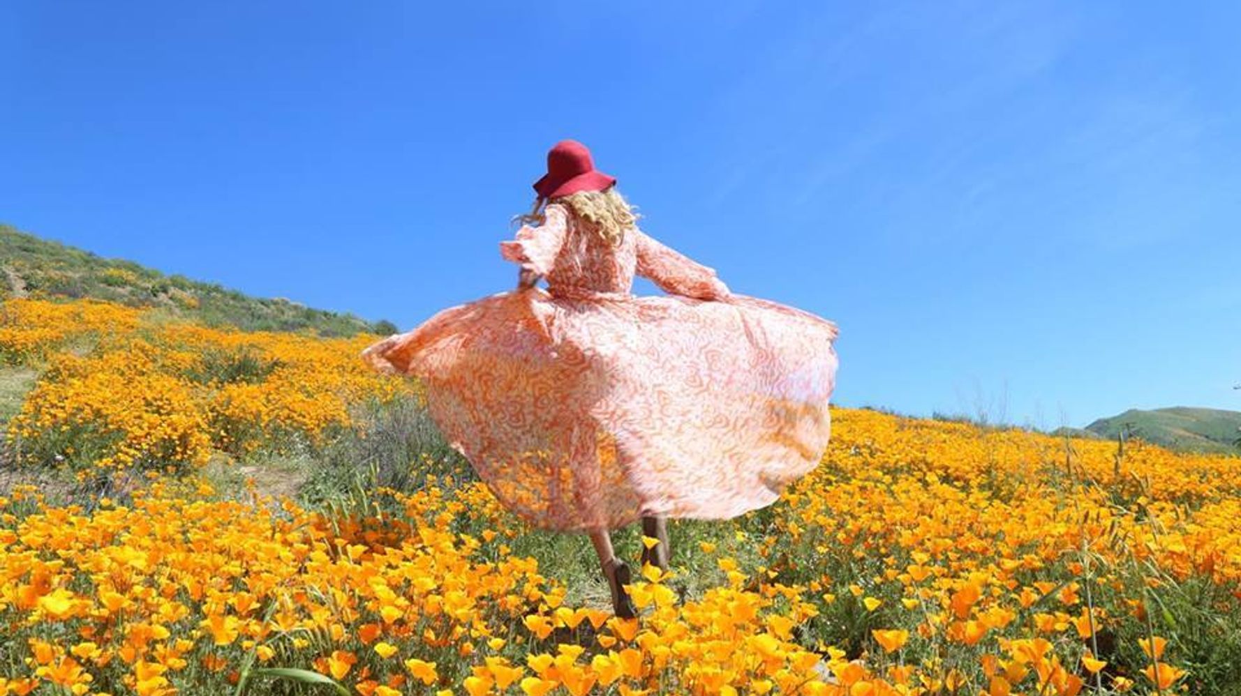 5 Best Places To See The Super Bloom In California HuffPost