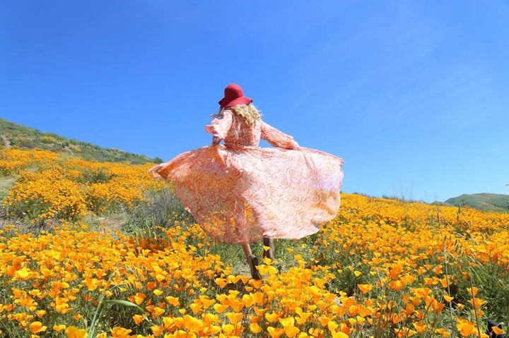 Endless fields of poppies line the freeway near Lake Elsinore