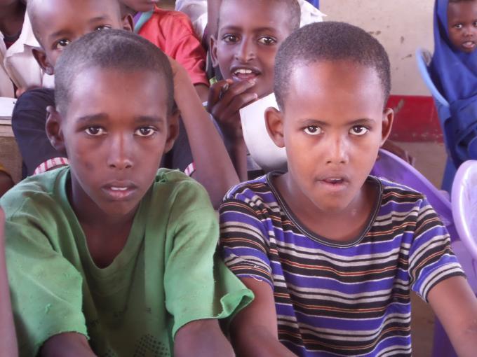<p>Do private for-profit schools address the needs of Kenyan children?</p>
