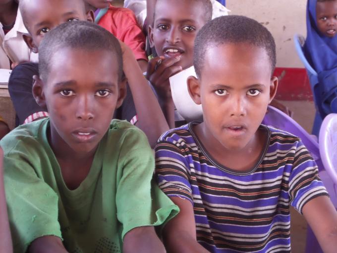 Do private for-profit schools address the needs of Kenyan children?