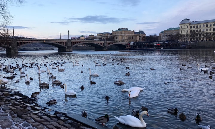 <p>Prague, Czech Republic</p>