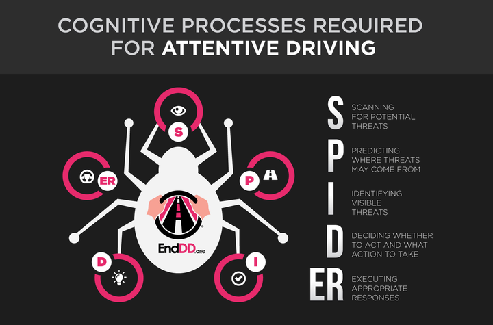 Adapted from “SPIDER: A Framework for Understanding Driver Distraction,” David Strayer and Donald Fisher, February 2016. 