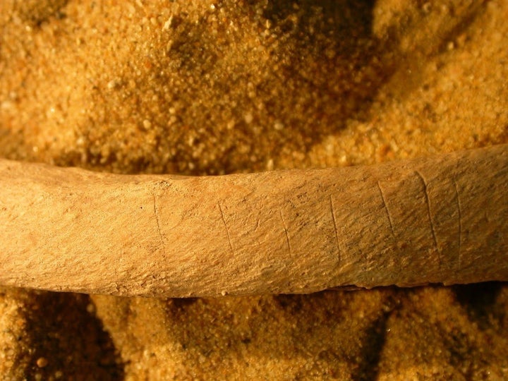 Many of the bones had deliberate knife marks on them