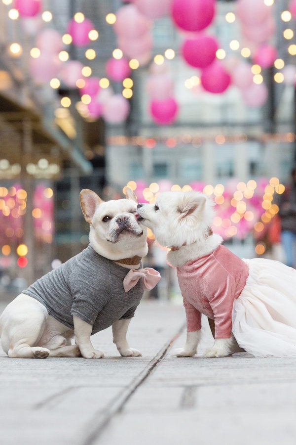 Luna going in for a kiss at CityCenterDC. 