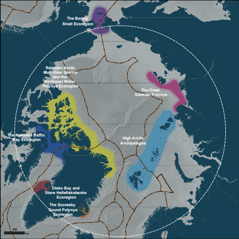 This map shows the seven marine areas that could potentially qualify for World Heritage status.