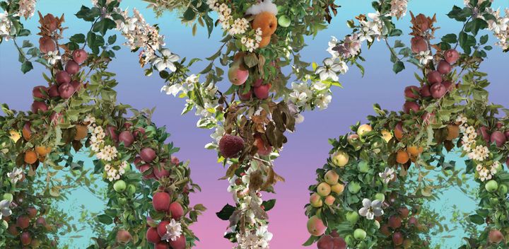 <p>Endless Orchard Wallpaper</p>
