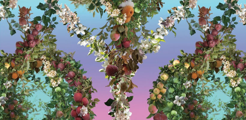 Endless Orchard Wallpaper
