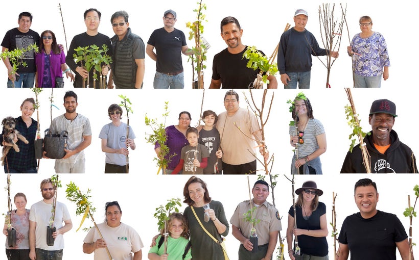 Endless Orchard Fallen Fruit Adoption Portraits at LA State Historic Park in Downtown LA, 2016