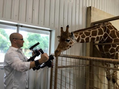 A cooperative giraffe poses for a publicity shot