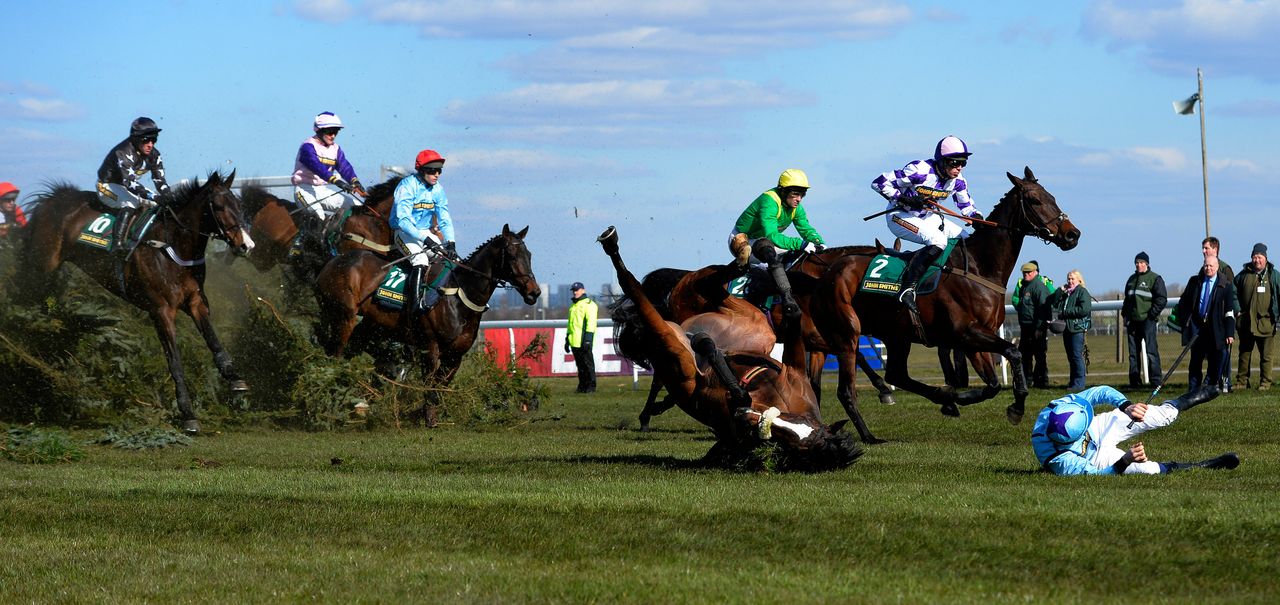 Ben Crawford falls off his horse Paddy Mourne at the Chair during the Fox Hunters' Steeple Chase at Aintree, northern England April 4, 2013