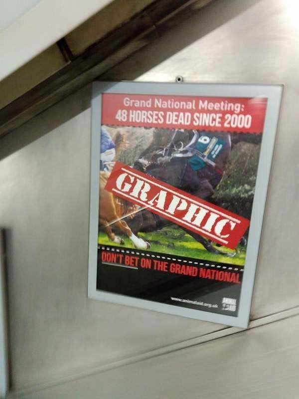 <strong>Animal Aid has launched its latest campaign against the Grand National.</strong>