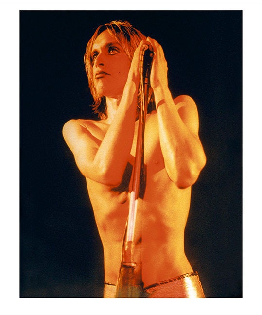 Iggy Pop, 1972.